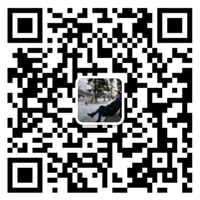 乐动手机网页版登录入口